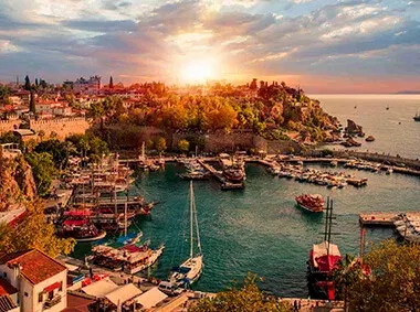 kaplan tercüme kurumsal web site tasarımı